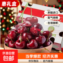 桑提娜 智利车厘子 孕妇儿童水果礼盒 5斤净重 大果J 单果26-28mm 进口原箱包装随机