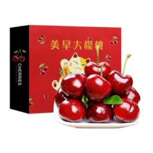 颜曼箐 智利车厘子4J级 5斤礼盒装 单果32mm+ 新鲜进口大樱桃
