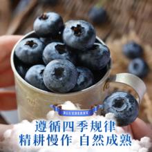 云南当季蓝莓 特大果(20-24mm) 125g×12盒