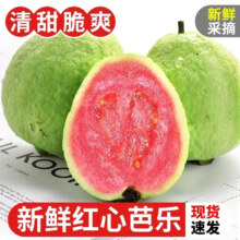 广西红心芭乐番石榴 新鲜现摘现发 2斤优选果 单果100g+净重1.5斤 孕妇儿童水果