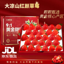 闽域寻鲜 大凉山草莓 红颜草莓 40-50枚装 单果8-12g
