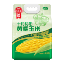 十月稻田  甜糯玉米   【2025新玉米】黄糯玉米1.76kg*1袋