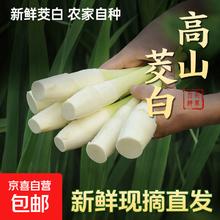 新鲜茭白时令蔬菜 0.8-1斤 净重