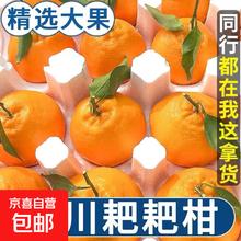 京配 春见耙耙柑 生鲜水果 8斤带箱（70mm+）净重7.5斤 JDL京东快递