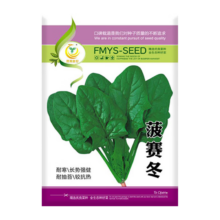 凤鸣雅世 耐寒圆叶菠菜种子 1000粒 四季蔬菜种孑 菠赛冬耐寒
