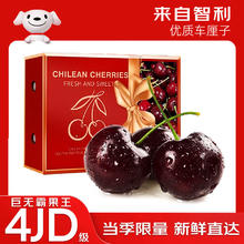 再降价：RONGXIAN 智利进口车厘子礼盒 3J级30-32mm 5斤净重 京东顺丰