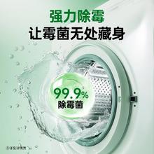 滴露 清洁士 强力除垢杀菌洗衣机槽清洗剂 柠檬250g*2瓶