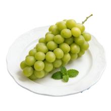 产地直发阳光玫瑰葡萄 新鲜水果 带箱5斤净果4.6-4.8
