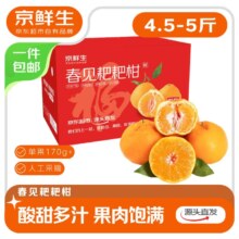 京鲜生 四川春见耙耙柑 净重4.5-5斤 单果170g+ 源头直发包邮