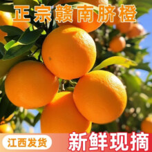 粤迎 赣南脐橙 手剥橙子 10斤甄选装 净9斤 香甜多汁