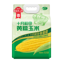 十月稻田 甜糯玉米 黄糯玉米 1.76kg*1袋 2025新玉米