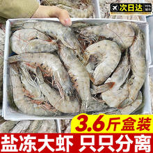 鲜驰 青岛大虾 基围虾 3.3斤净重 17-21cm 单只冻 超大虾王