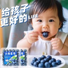 粤迎 云南花香蓝莓 A+级甄选果 100g/盒*4盒 现摘现发