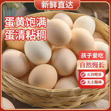 谷俱来 高山散养土鸡蛋 1500g 30枚