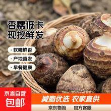 正宗农家 山东 新鲜香芋 1斤