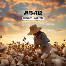 富安娜 棉花被100%纯棉花被子透气磨毛四季棉被春秋被芯 月光 152cm*210cm