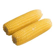 东东农场专供新鲜黄糯玉米180g-220g 5根装