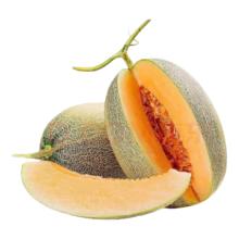 晓蜜 西州蜜哈密瓜 产地直发 当季新鲜 整箱3-4斤