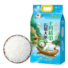十月稻田 五常大米 香粳米 2.5kg 优质一等东北大米