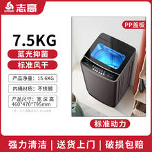 志高 洗衣机全自动家用9/10公斤大容量波轮租房用小型宿舍洗脱一体