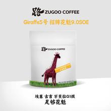 足各 路黑曜阿拉比卡Giraffe系列花魁埃塞俄比亚G1咖啡豆