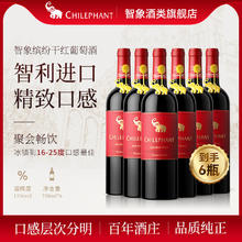 智象 智利原瓶进口智象缤纷干红葡萄酒750ml整箱聚会热红酒晚安