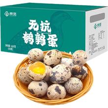 限移动端、京东百亿补贴：京觅 新鲜无抗鹌鹑蛋 63枚/盒