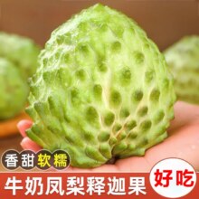 粤迎 新鲜凤梨释迦果 广西应季水果 牛奶凤梨香甜 3斤精选果 净2.5斤