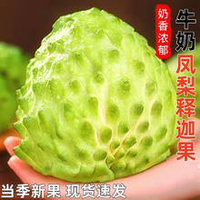 广西牛奶凤梨释迦果番荔枝 佛头果 新鲜软糯 当季水果 2斤严选装 单果120g+净重1.5斤