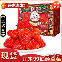 颜曼箐 丹东草莓特大果99红颜奶油草莓新鲜水果 精品大果2斤净1.7斤