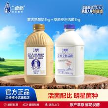 兰格格 草原酸奶 1kg+1kg 活菌 大桶 家庭分享装