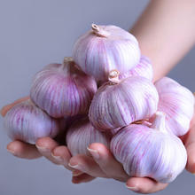 京喜加 紫白皮蒜即食水果大蒜今年新鲜干蒜 2斤单果3.5-4.5cm