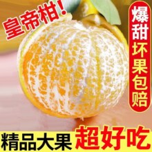 广西皇帝柑 带箱9斤 50mm+