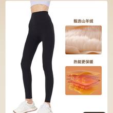 限移动端：MISSWISS 含羊绒鲨鱼裤女外穿保暖打底裤冬收腹提臀加厚加绒瑜伽裤