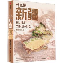 《什么是新疆》