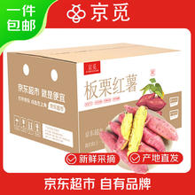 京觅 陕西板栗红薯 净重4.5斤单果100g+中果 新鲜蔬菜 源头直发