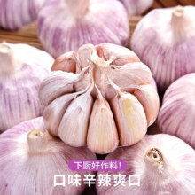 新鲜紫皮干大蒜 多瓣蒜 农家大蒜 净重5斤 单果5cm-6cm