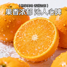 湖南高山冰糖橙当季新鲜手剥甜橙子应季水果现摘现发 带箱4斤（净重3.7斤）单果60mm以下