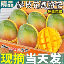 粤迎金煌芒 芒果 5斤优选果 单果300g+ 净4.5斤 闪送多地次日达