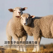 88VIP会员：水星家纺 澳洲羊毛被子A类抑菌羊毛四季被冬被加厚秋冬床品