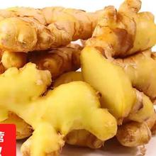 小程序：新鲜贵州生姜子小黄姜 净重500g