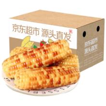 再降价：京鲜生 云南香糯小玉米 西双版纳小花糯 4斤 黏