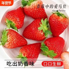 爆甜草莓 安徽文集 天仙醉草莓果园 现摘草莓 1000g 15g-25g 老人儿童孕妇新鲜水果