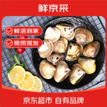 鲜京采 鲜活文蛤 蛤蜊生鲜海鲜 净重3斤约60粒 源头直发
