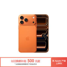 Apple iPhone 17 Pro Max 256GB 5G 双卡双待手机