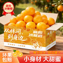 天乐优选 麻阳冰糖橙 60mm-65mm 4.5斤