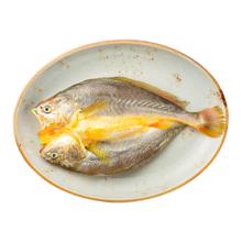 今日必买：黄小渔 宁德黄鱼鲞 350g*5条