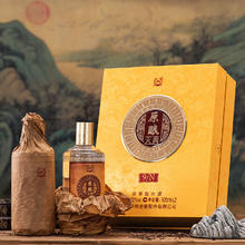泸州老窖 原酿天典9N 浓香型白酒 52度 500mL×2瓶 礼盒装 赠礼袋