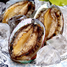 今日必买：祥斌 鲜冻鲍鱼 净重160g 8-10粒