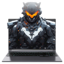 机械革命 极光X 16英寸 i7-13700HX RTX5060 180Hz 游戏本 16G 1T 灰色